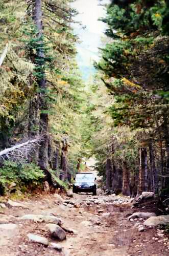 Middle St. Vrain and Coney Flats Trail