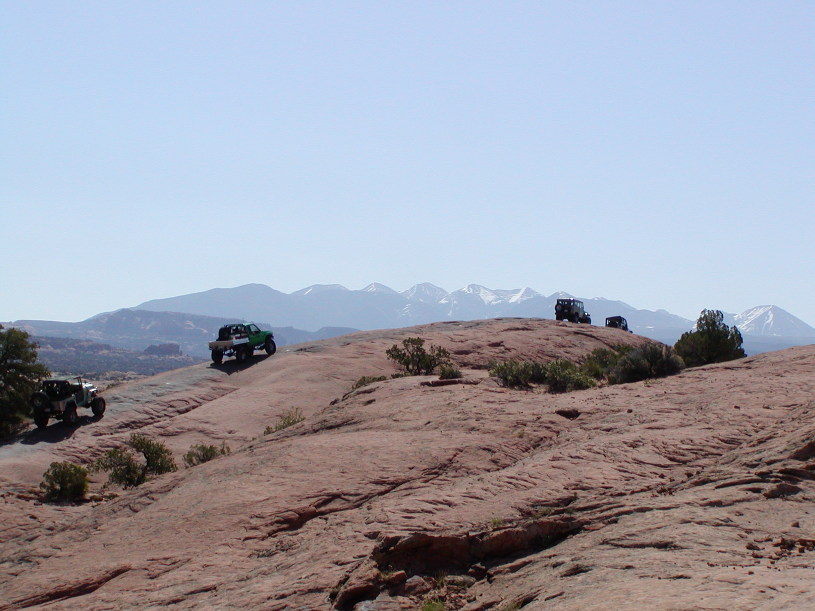 Fins and Things Trail