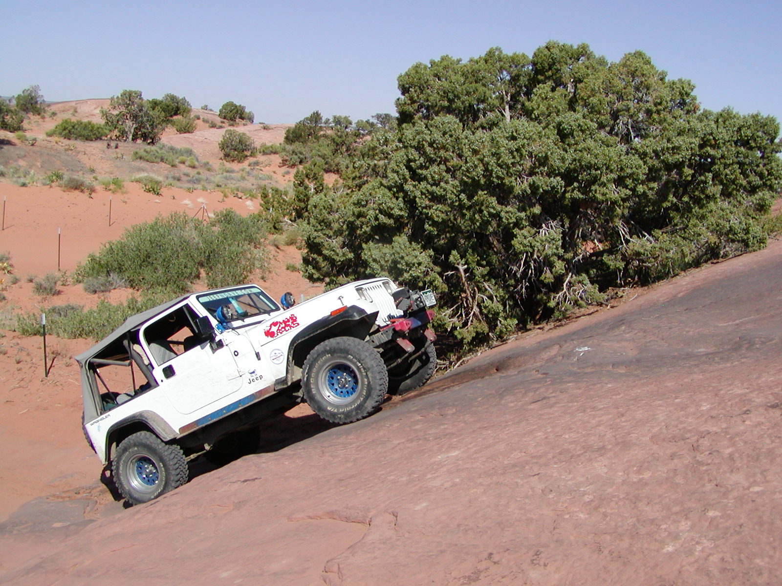 Fins and Things Trail