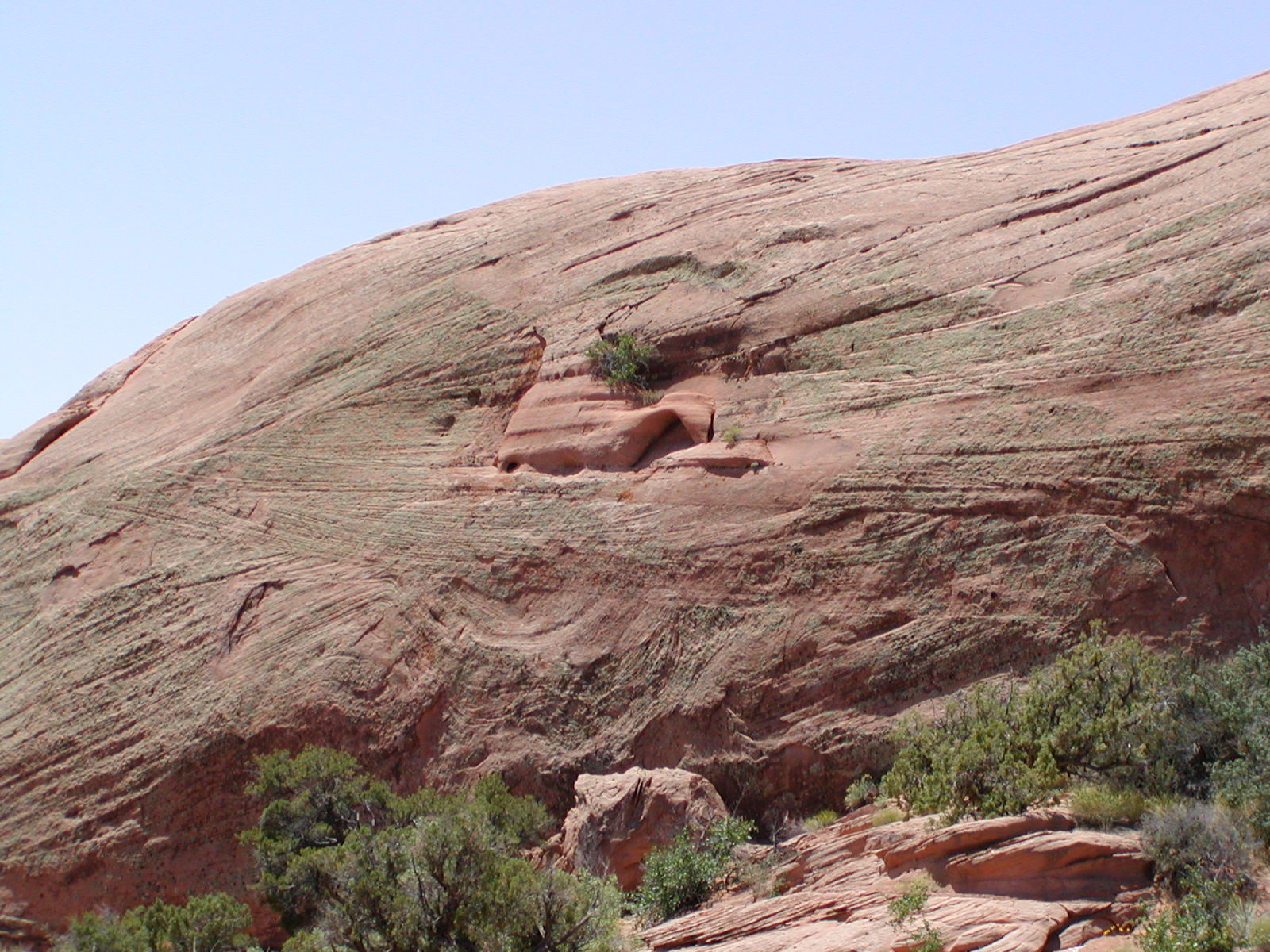 Fins and Things Trail