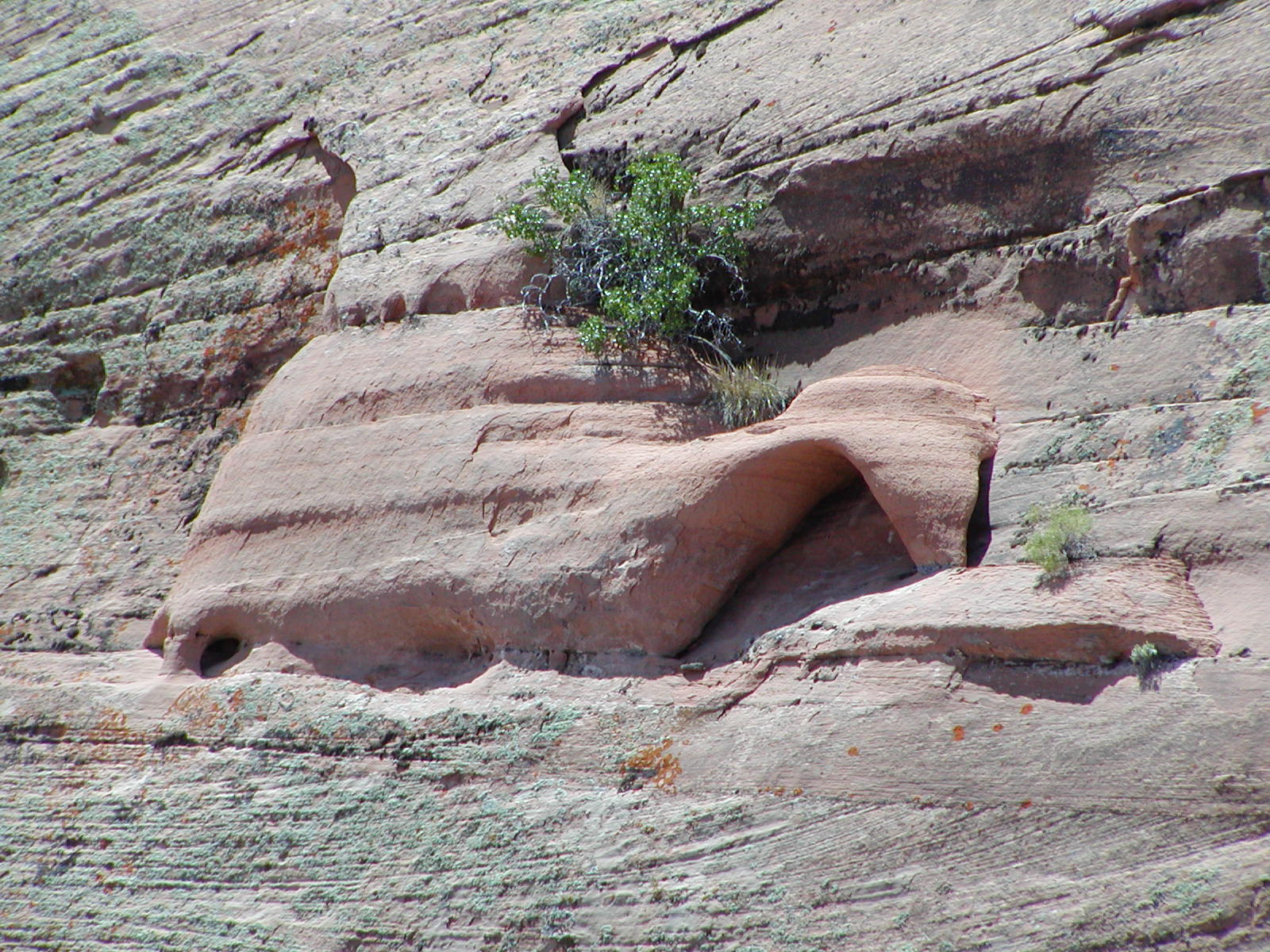 Fins and Things Trail