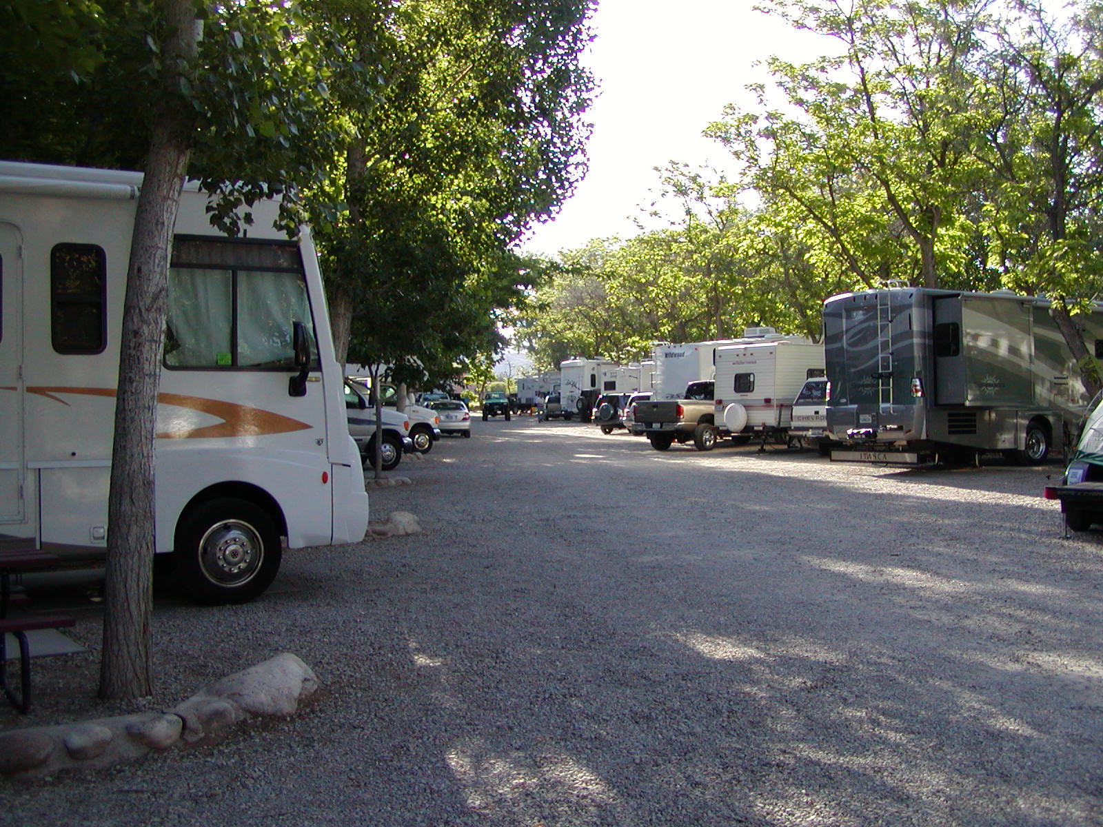 Fins and Things Trail