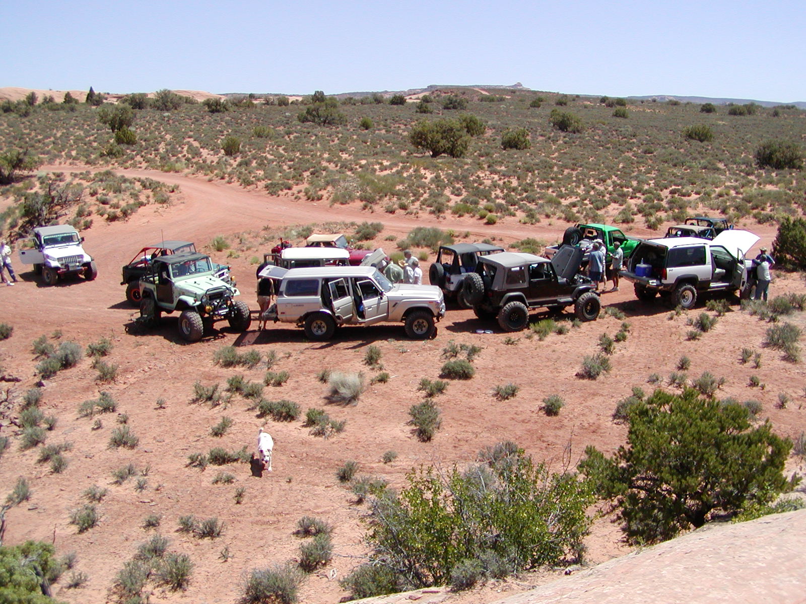 Fins and Things Trail