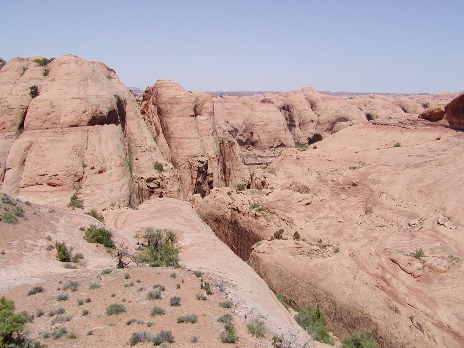 Fins and Things Trail