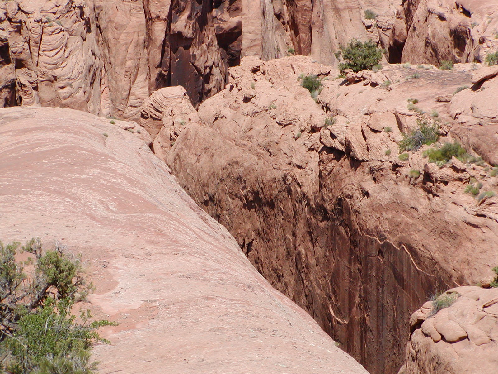 Fins and Things Trail