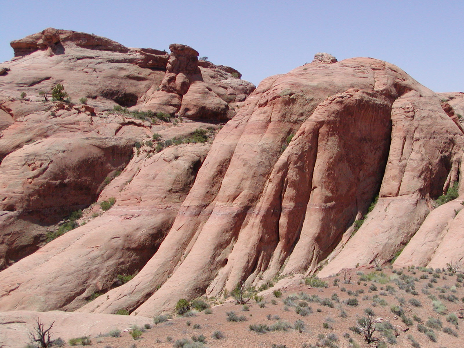 Fins and Things Trail