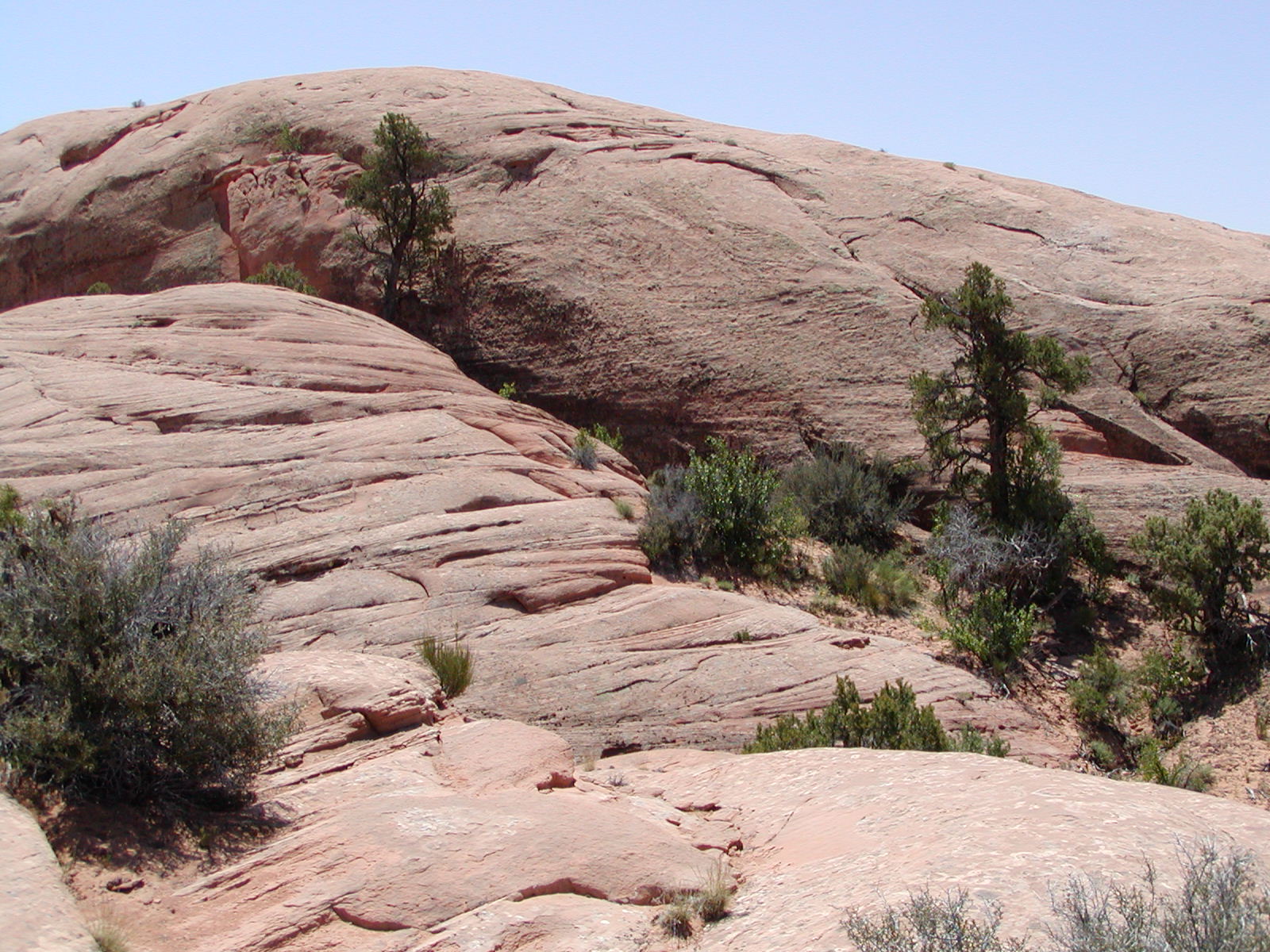 Fins and Things Trail