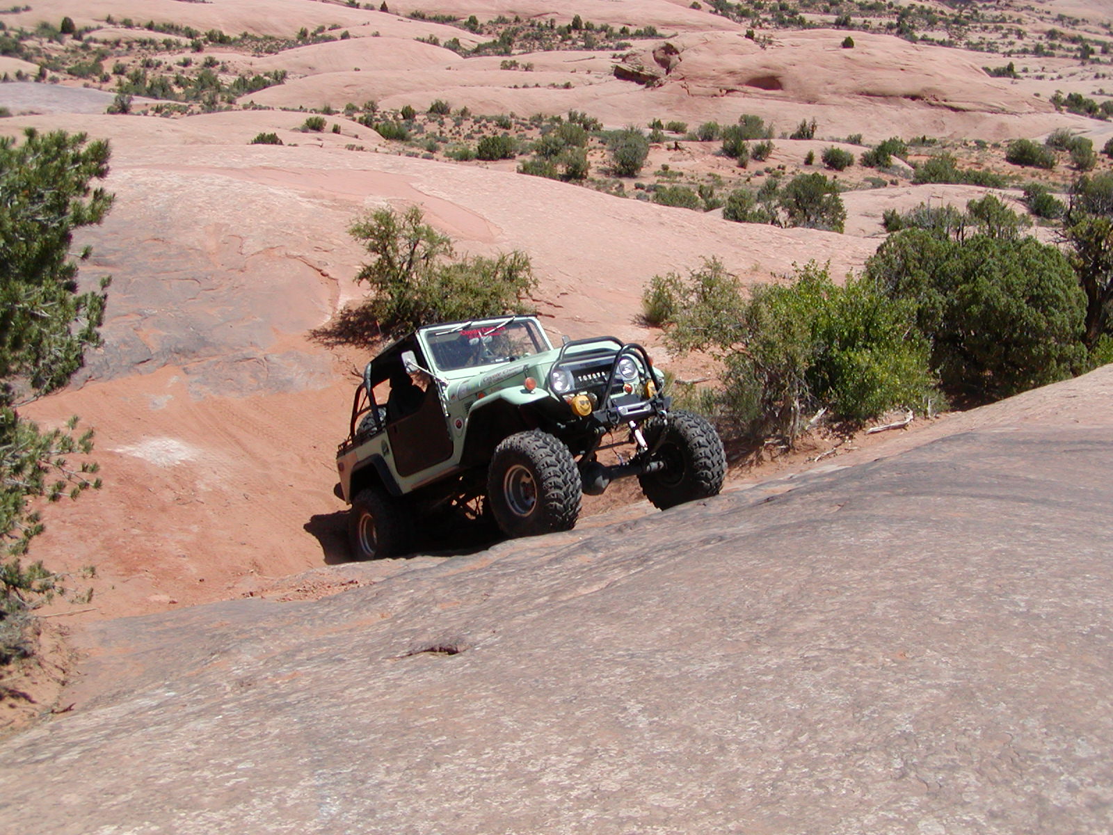 Fins and Things Trail