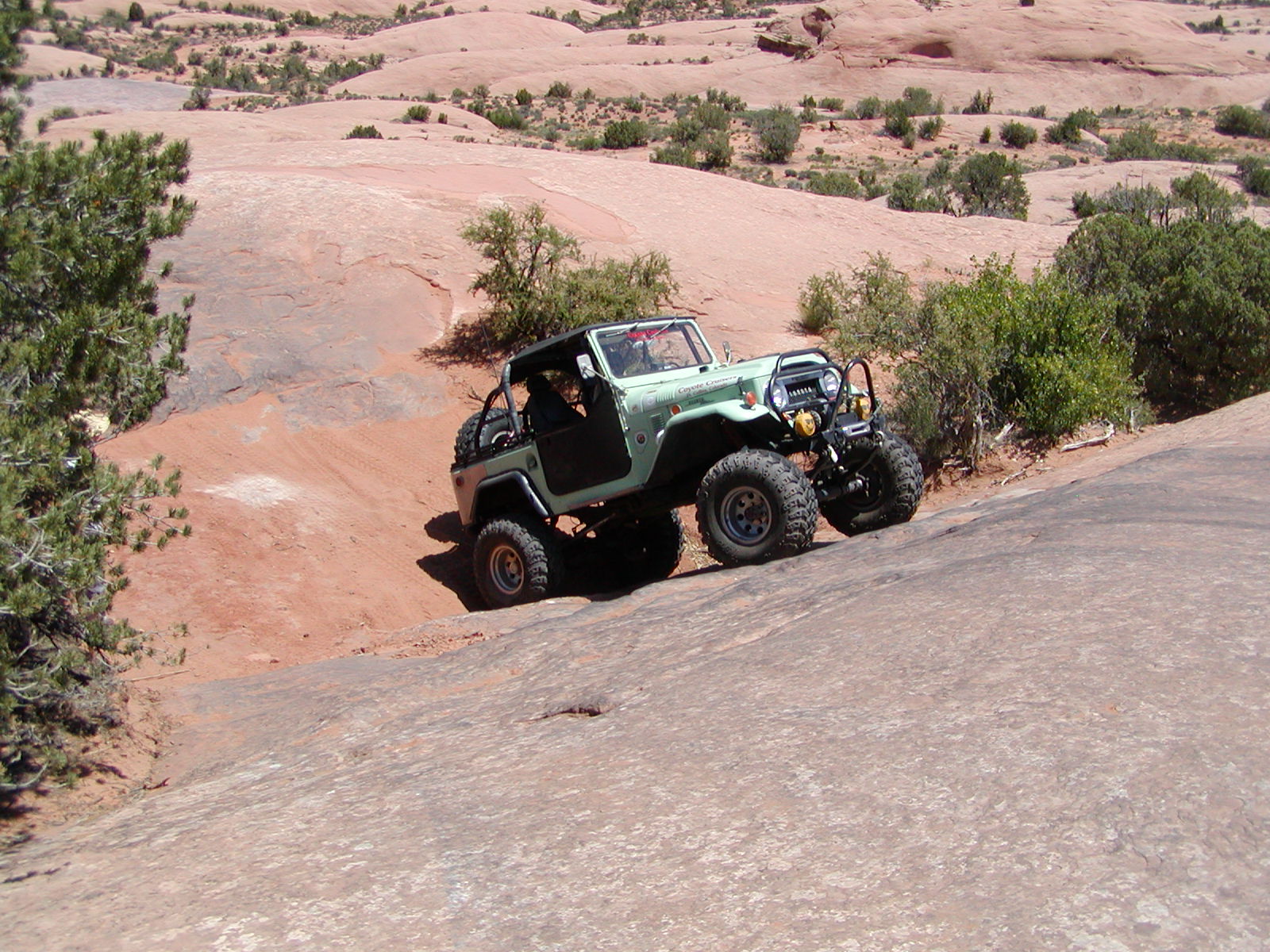 Fins and Things Trail