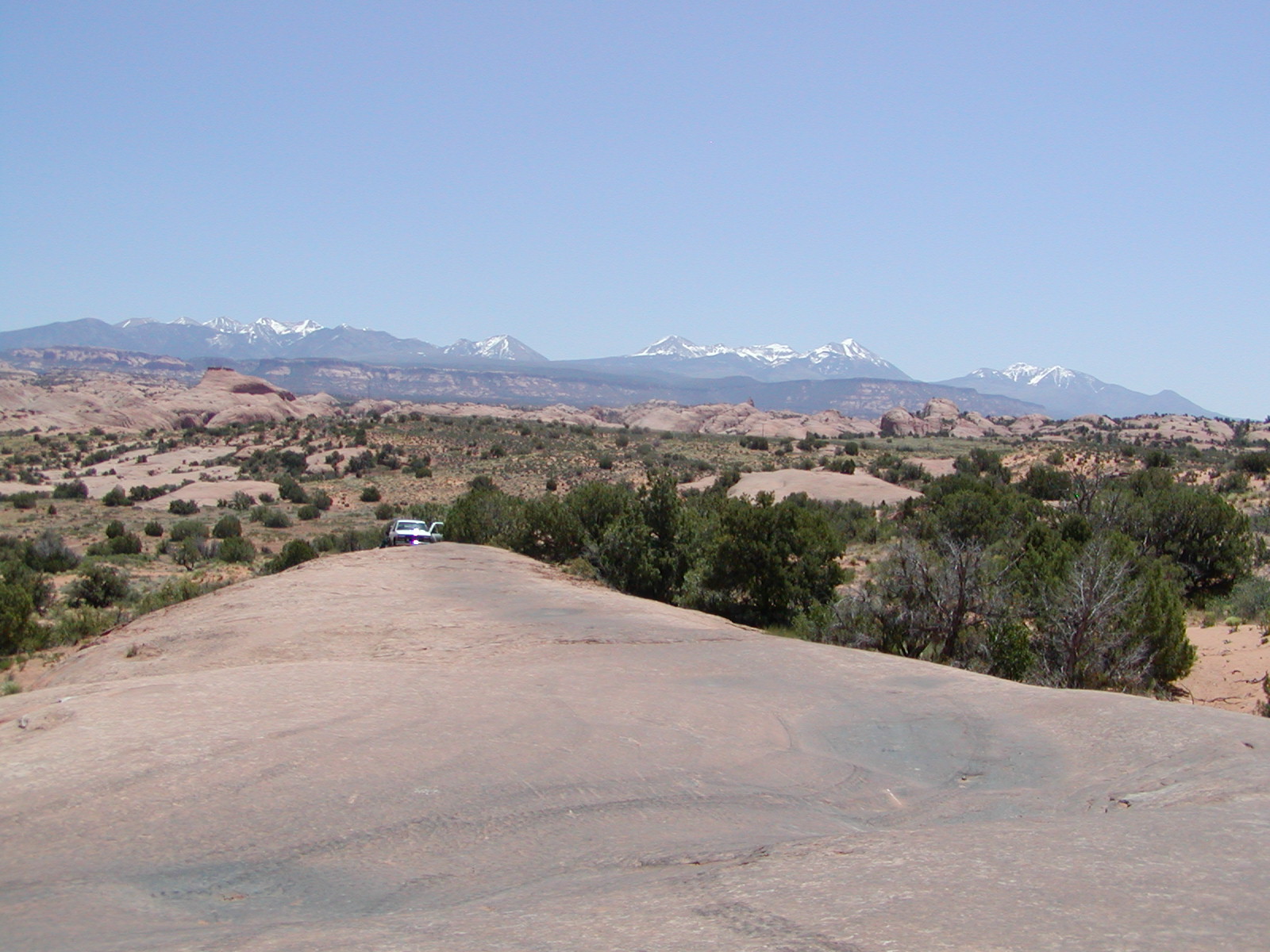 Fins and Things Trail