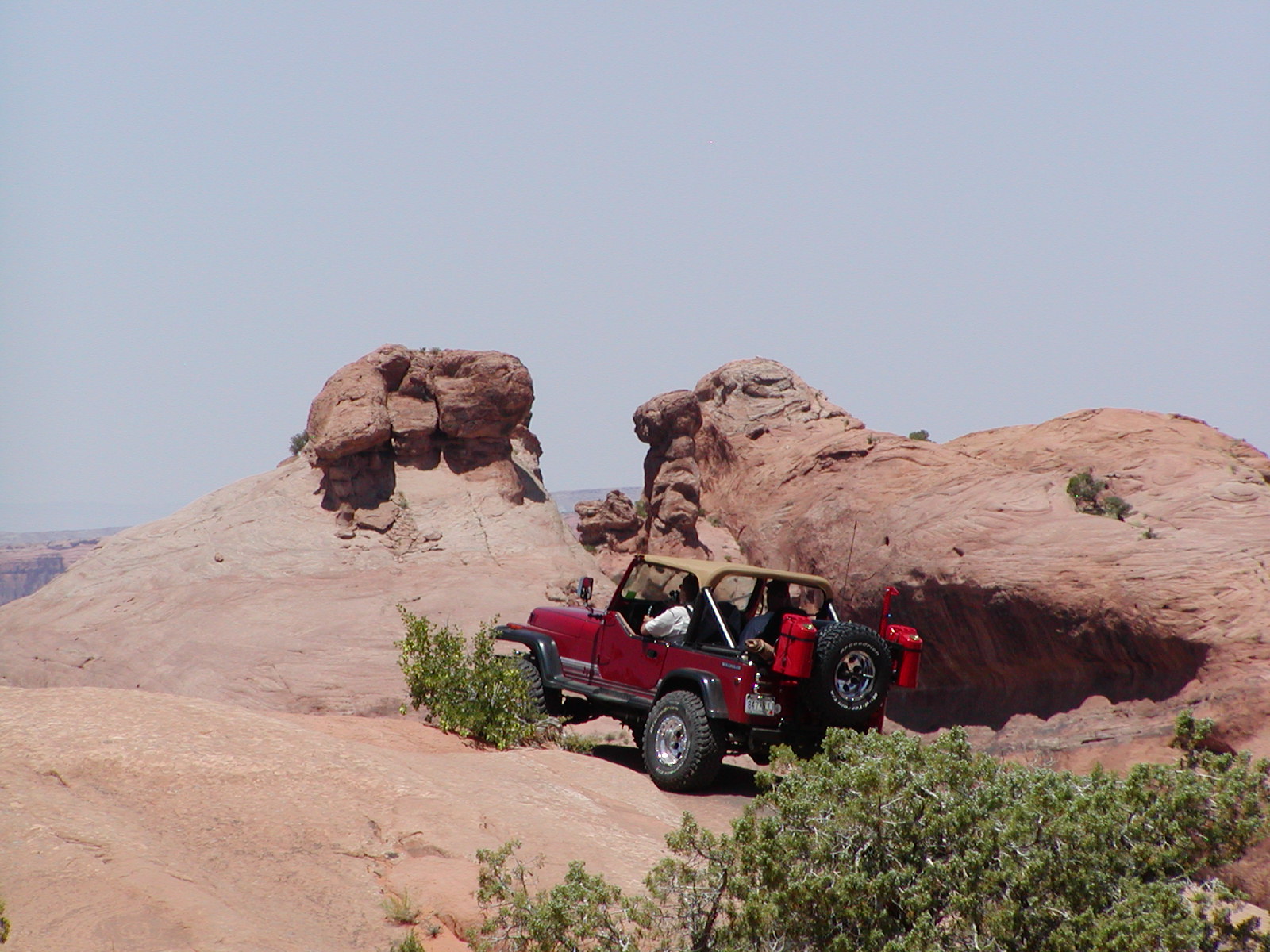 Fins and Things Trail