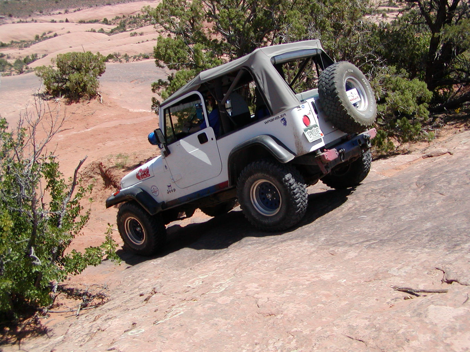 Fins and Things Trail