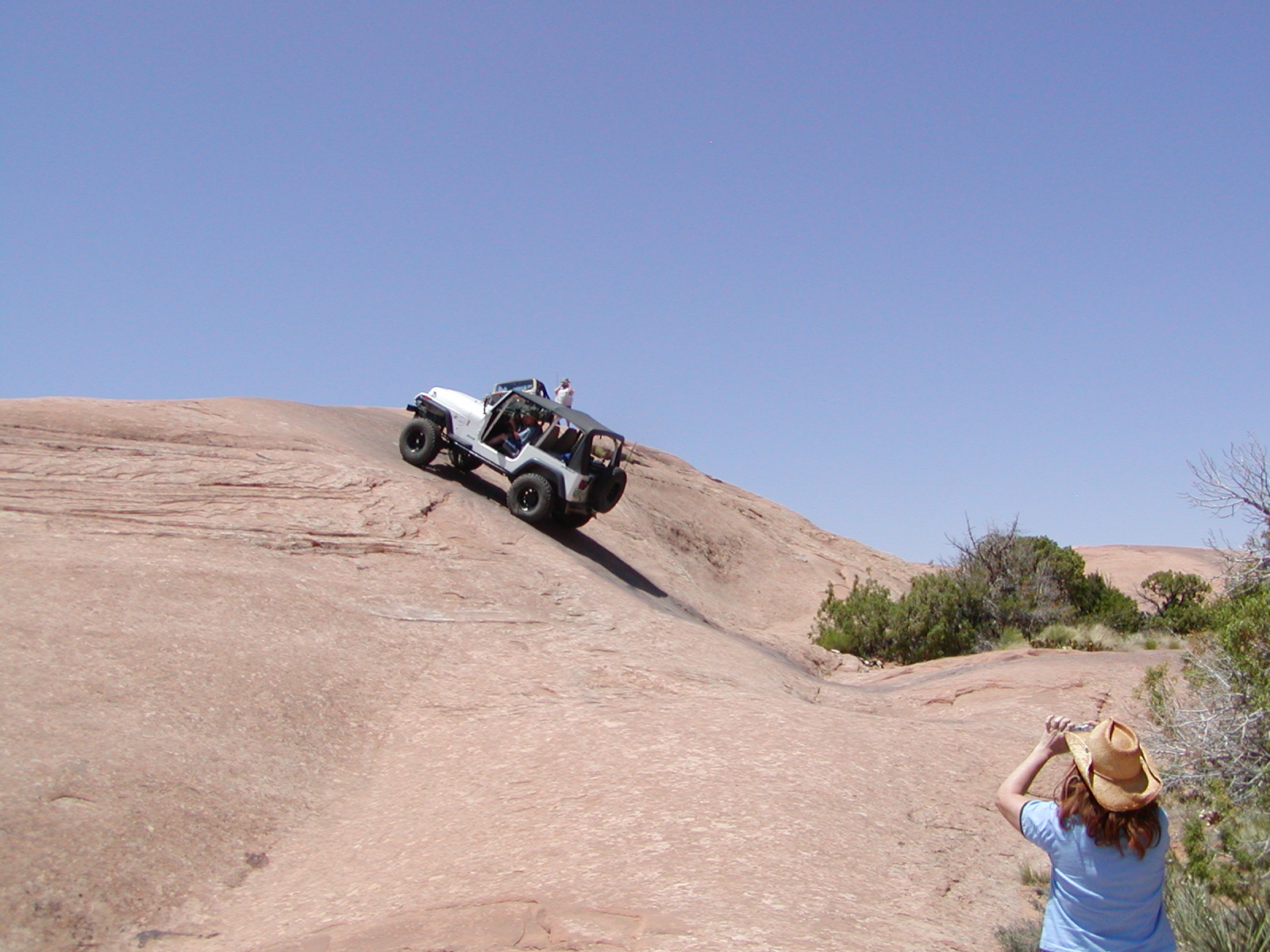 Fins and Things Trail