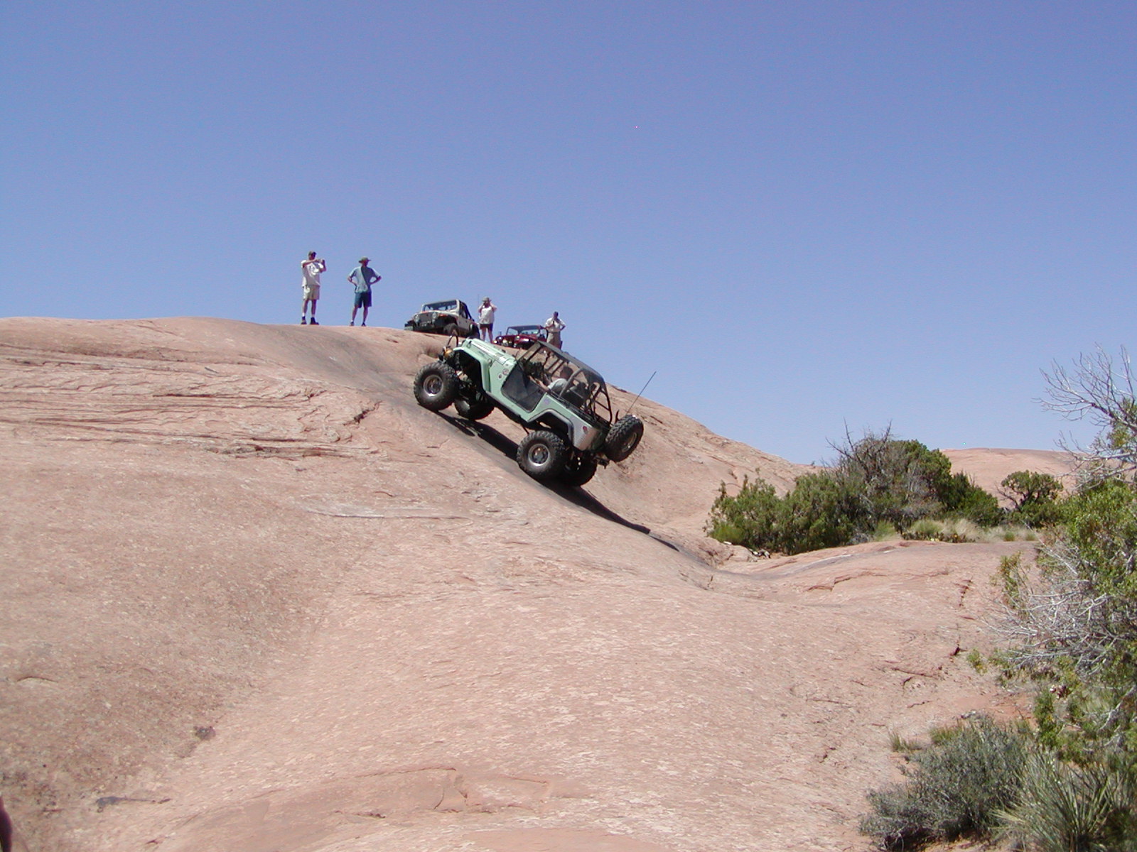 Fins and Things Trail