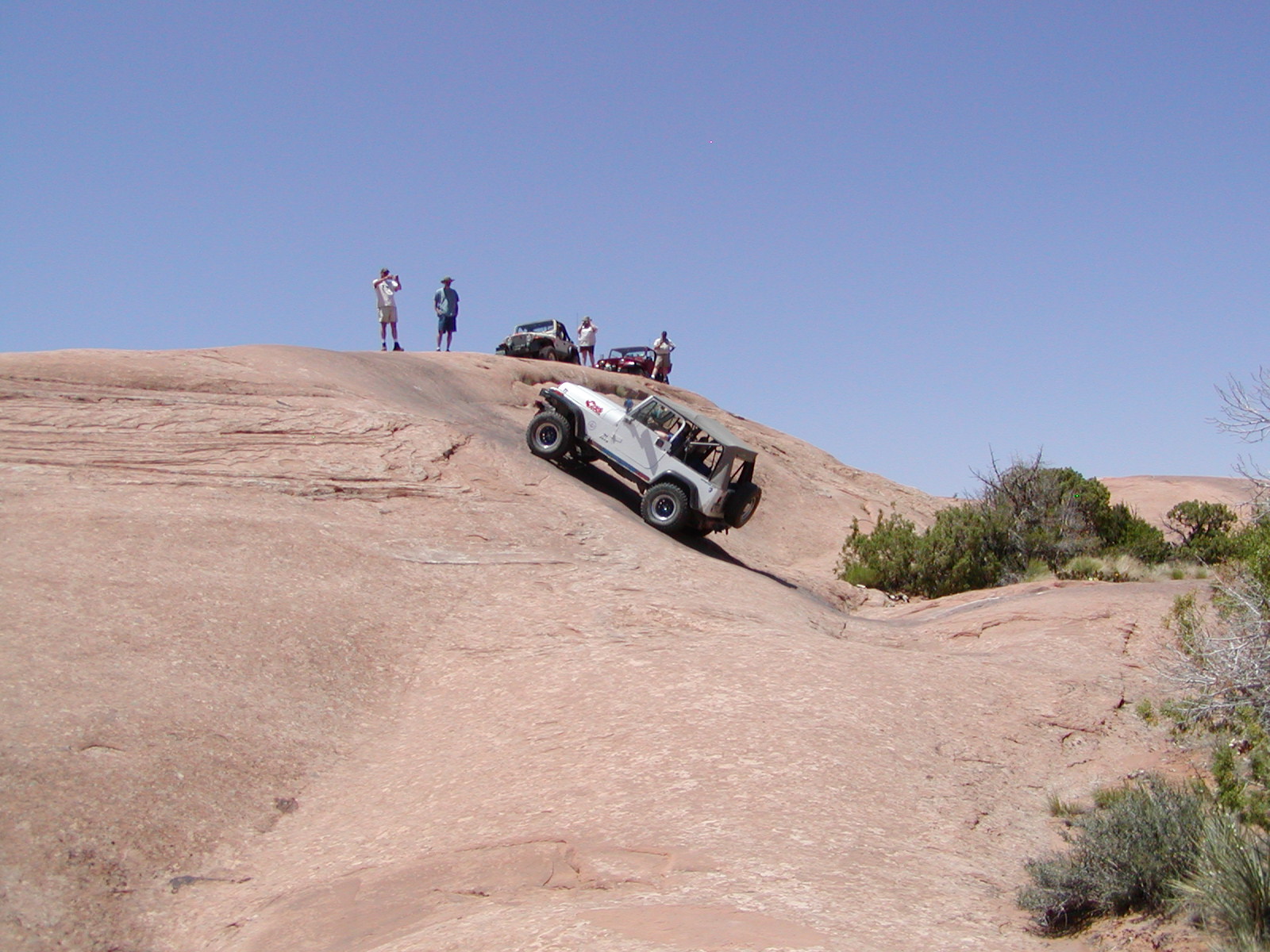 Fins and Things Trail