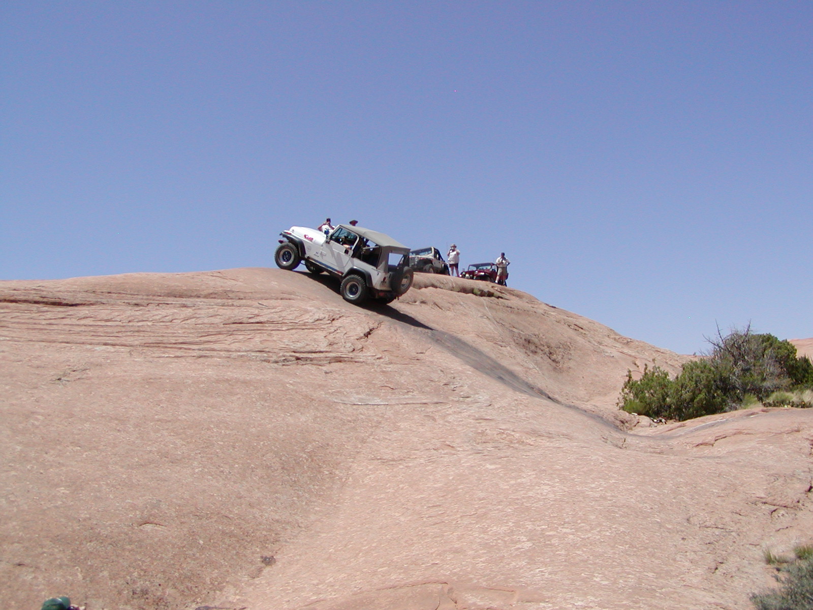 Fins and Things Trail