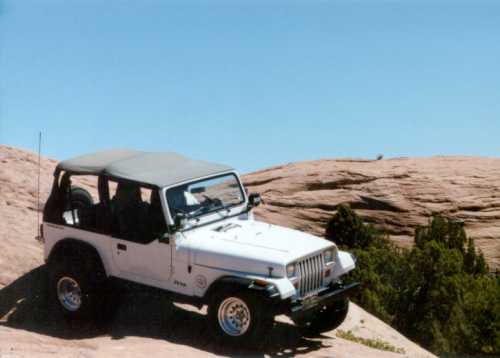 Fins and Things Trail