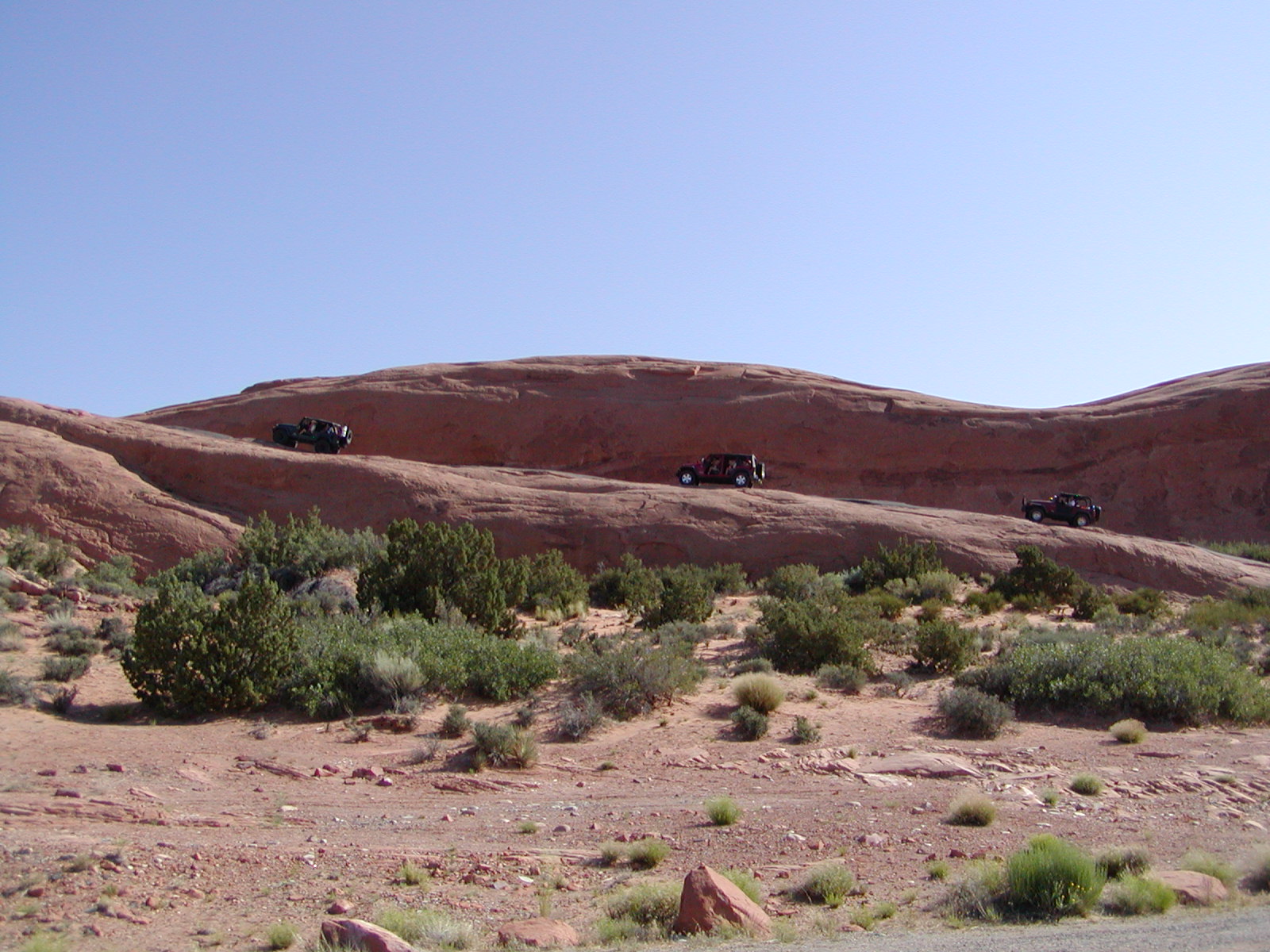 Fins and Things Trail