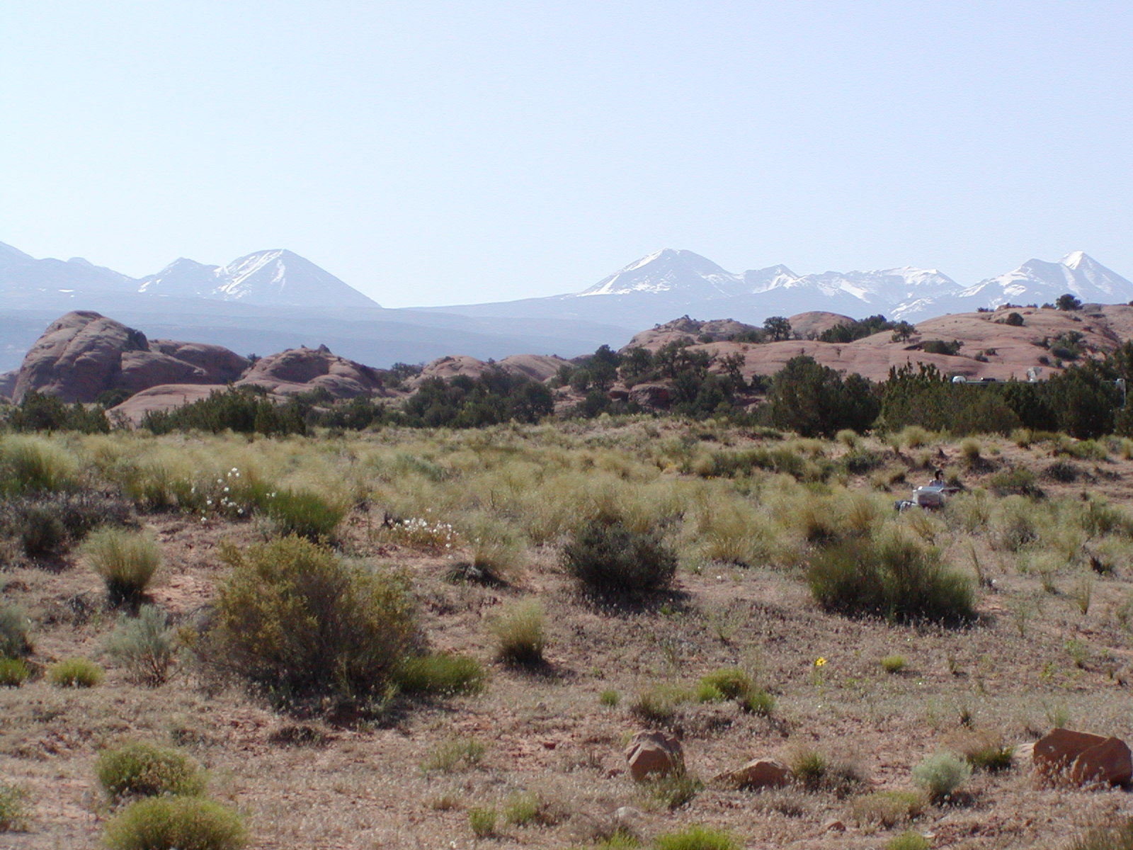 Fins and Things Trail