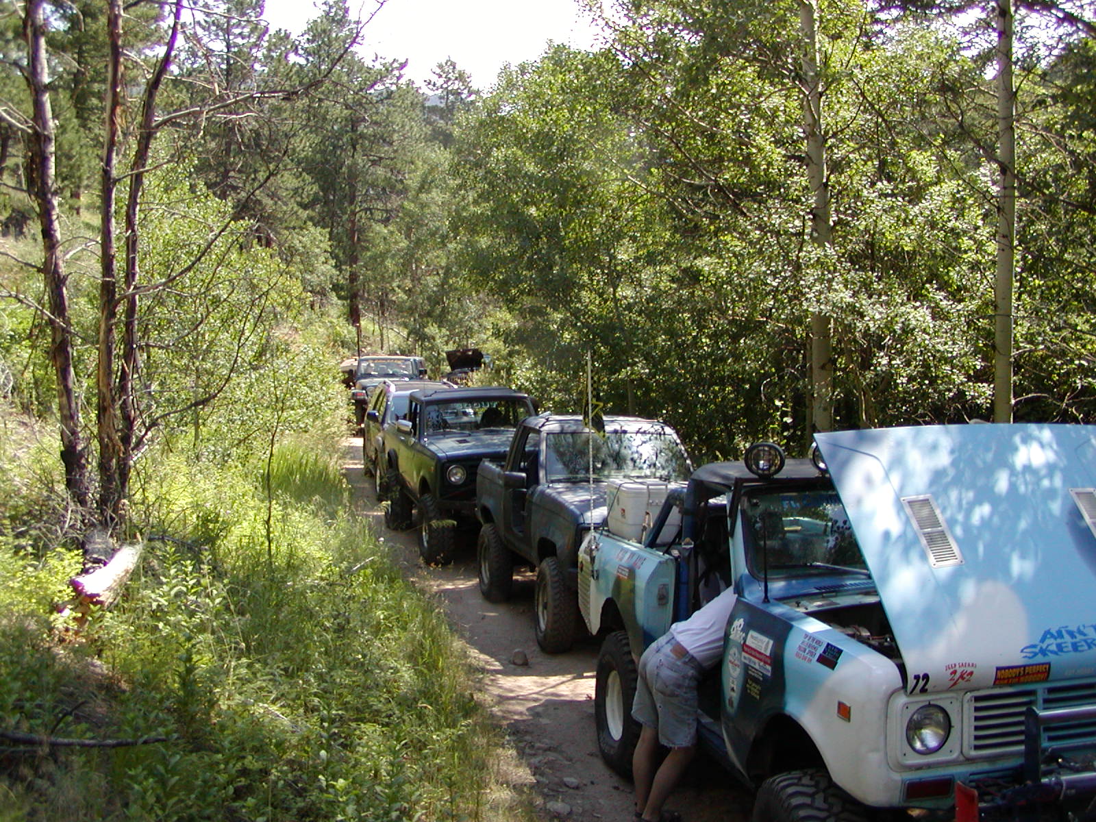 Gillespie Gulch Trail