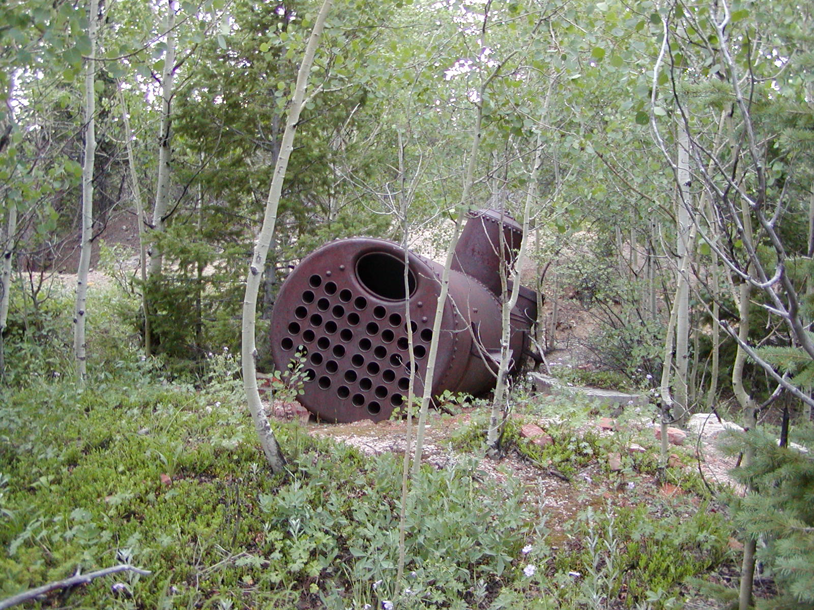 Gillespie Gulch Trail