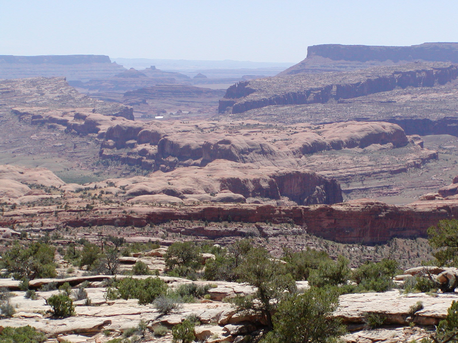 Poison Spider and Golden Spike trails