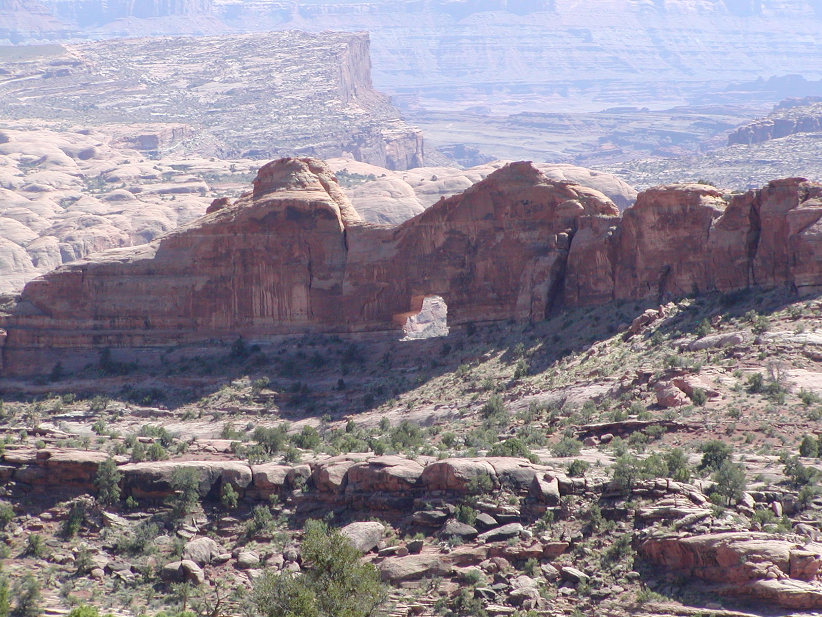 Poison Spider and Golden Spike trails