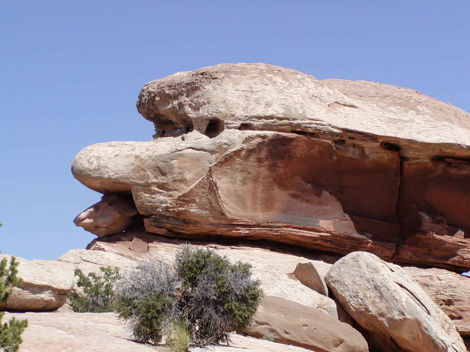 Poison Spider and Golden Spike trails
