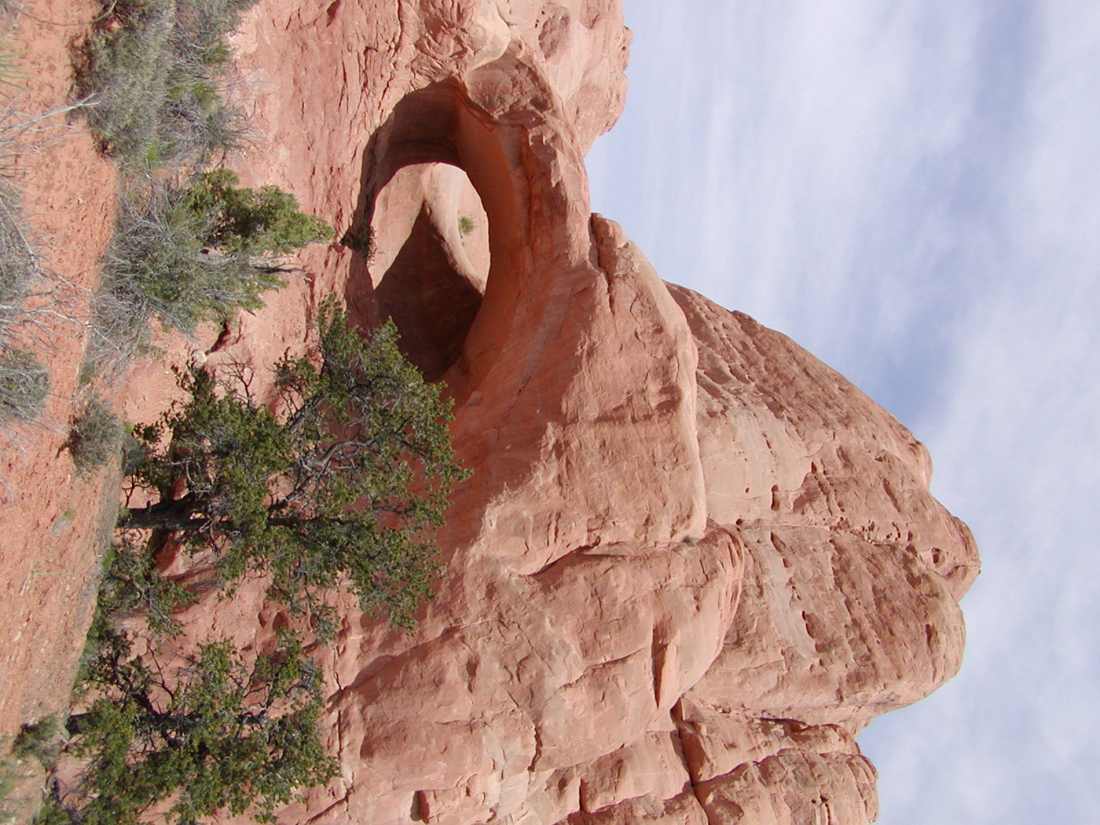 Top of the World Trail