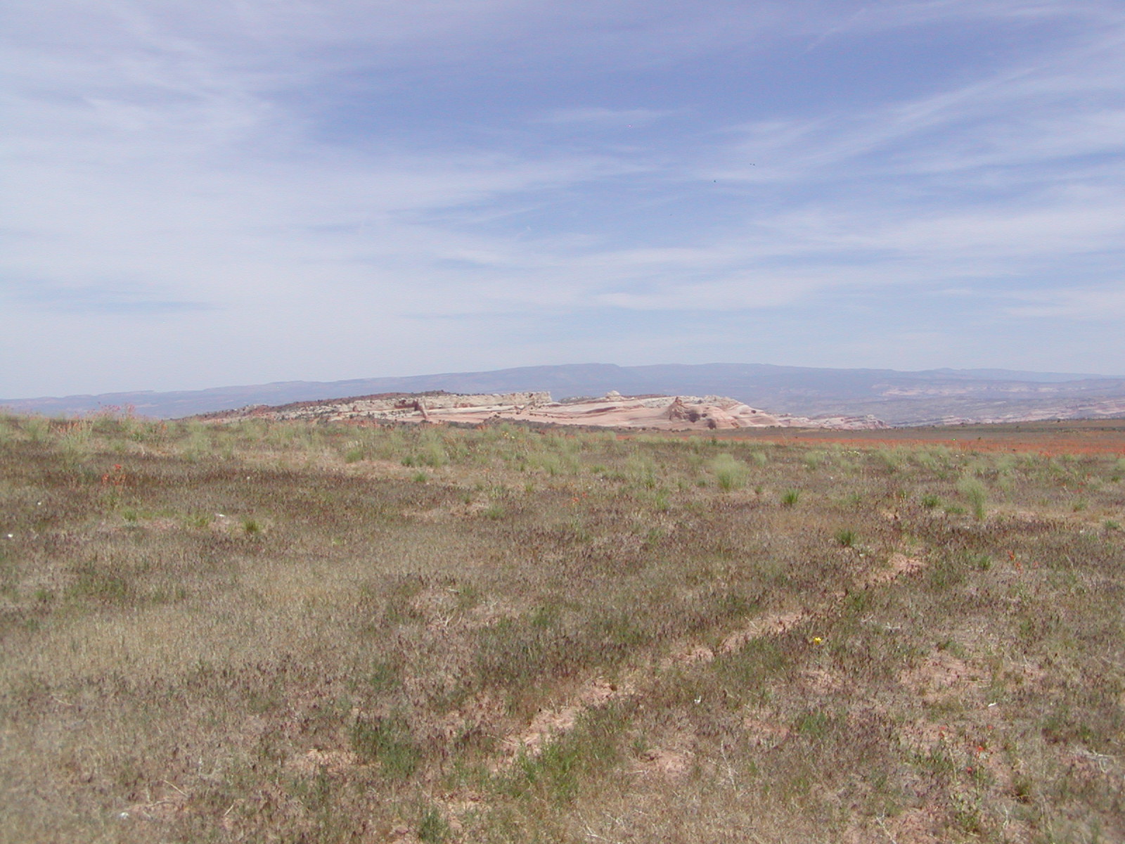 Top of the World Trail