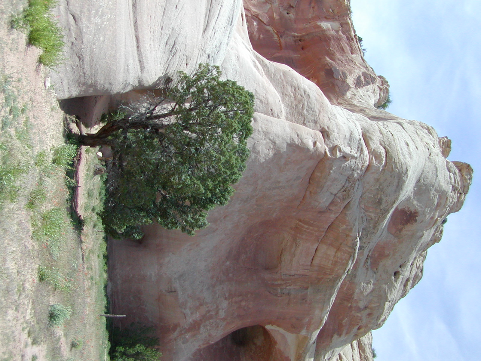 Top of the World Trail