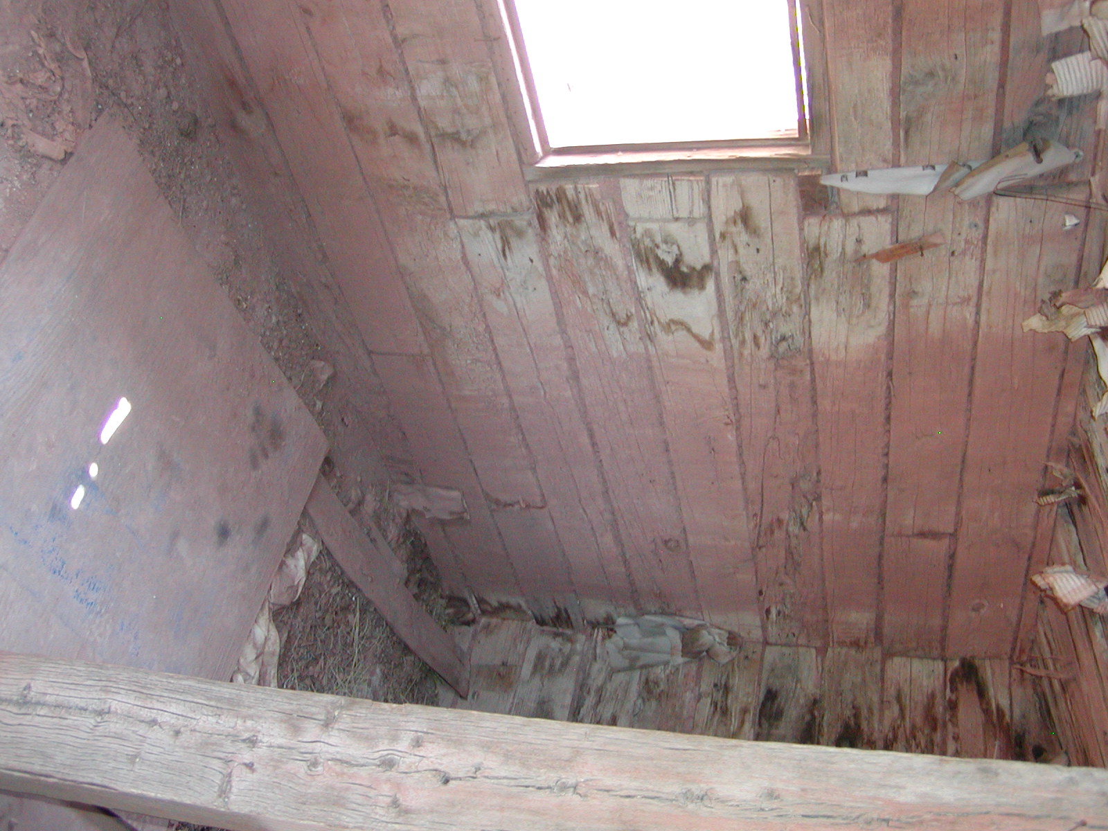 Top of the World Trail