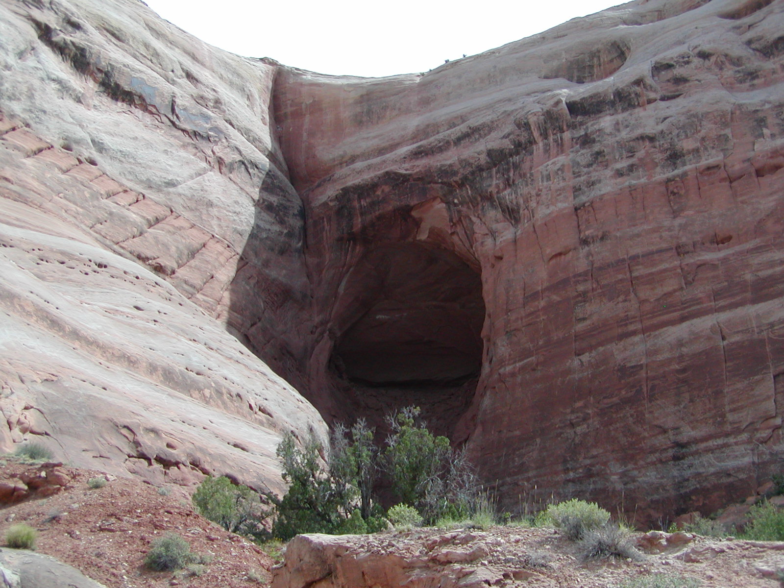 Top of the World Trail